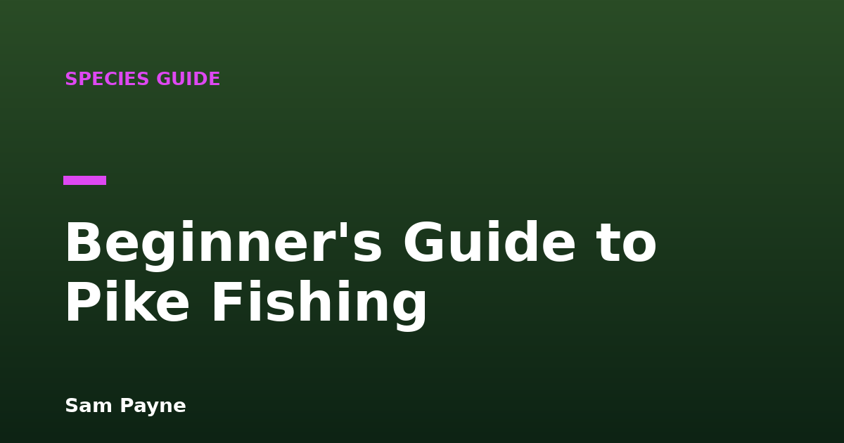Beginner's Guide to Pike Fishing