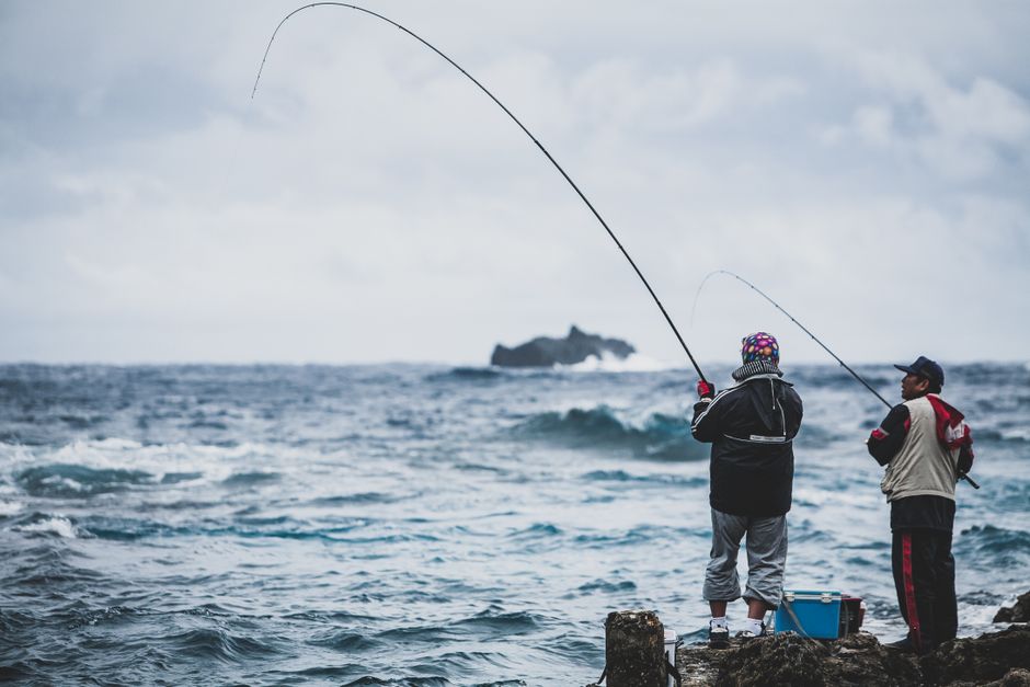 How to Choose the Right Fishing Rod for Beginners